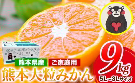 みかん 訳あり 大玉 大粒 ミカン 9kg 熊本 ちょっと 訳あり 傷 5L～3Lサイズ たっぷり 熊本県産(荒尾市産含む) 熊本県 期間限定 フルーツ 旬 柑橘 ご家庭用 荒尾市 大粒《2026年1月中旬-2月末頃出荷》果物