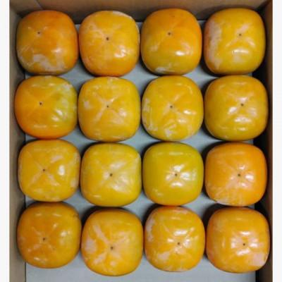 ふるさと納税 九度山町 【2025年発送】JA紀北かわかみのたねなし柿 秀品 7.5kg L〜3Lサイズ(36玉〜28玉) |  | 01