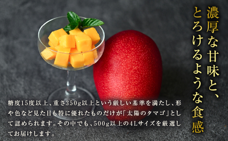 完熟マンゴー 太陽のタマゴ (4L×2玉) ＆ 宮崎キャビア1983 1個_LF1-25