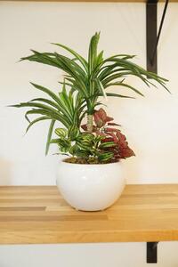 人工観葉植物　ユッカ寄せ植えジャングルポット
