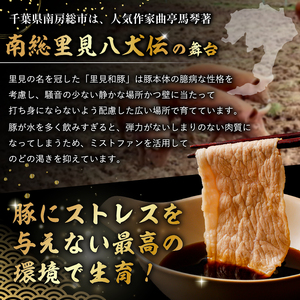 里見和豚　小分け　小間切れ800g（100g×8パック）個別包装　トレイ不使用 mi0017-0008 こま切れ 豚 肉 小分け