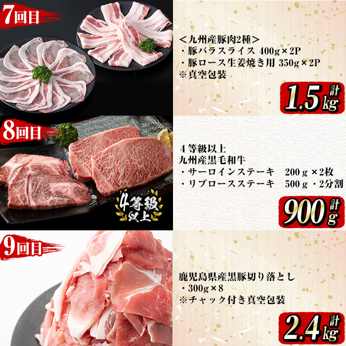 【定期便全12回】牛・豚堪能定期便(12ヶ月連続・計16.2kg超) 黒毛和牛 国産牛 九州産 豚 豚肉 肉 牛肉 国産 4等級 訳あり 小分け 真空包装 冷凍 t0182-001