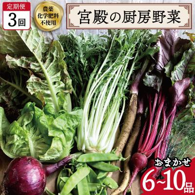 ふるさと納税 明和町 宮殿の厨房野菜 おまかせ 定期便 (3回) 六月農園