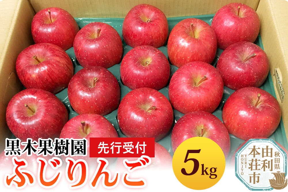 
                  《先行受付》りんご（ふじ）5kg 黒木果樹園のりんご（12月上旬～1月下旬に発送） [林檎 りんご リンゴ フルーツ 果物 スイーツ 秋田県産 農家直送 由利本荘市 黒木果樹園]
                