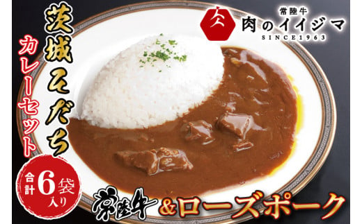 お中元 レトルトカレー ビーフカレー ポークカレー 各3個 セット ギフト お返し お祝い 一人暮らし 誕生日プレゼント 食べ物 冷凍 茨城そだちカレーセット 6個入り 常陸牛＆ローズポーク ギフト対応 【肉のイイジマ】茨城県 水戸市（DU-84）