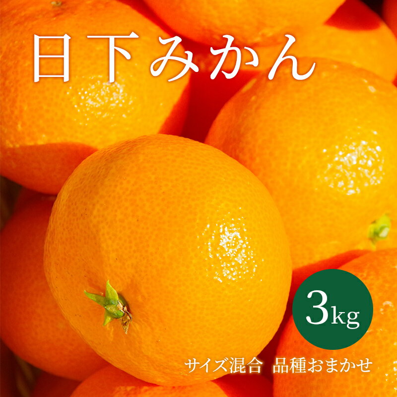 【ふるさと納税】【2025年10月以降順次発送】日下みかん サイズ混合 2S～2L 3kg 秀品 果物類 柑橘類 フルーツ 農薬 有機肥料 光センサー 高品質 おいしい 　お届け：2025年10月～2026年1月末