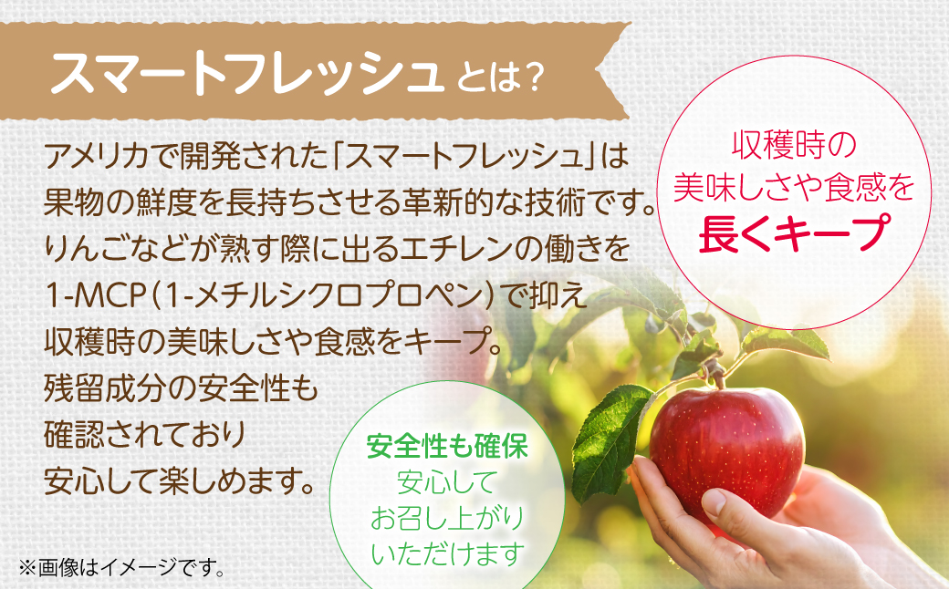 3月発送！北海道壮瞥町　りんご(スマートフレッシュ)　品種名「シナノスイート」12～18玉 約5kg　SBTF026