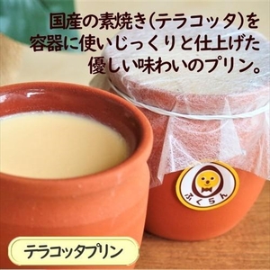 こだわりプリン3種セット 6個 〔2個×3種〕 【 プリン スイーツ お菓子 神奈川県 南足柄市 】