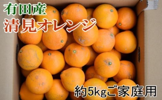 【先行予約】【濃厚】有田産清見オレンジ約5kg(サイズおまかせまたは混合)ご家庭用　※2027年3月上旬～2027年3月下旬頃発送予定（お届け日指定不可） / みかん オレンジ 和歌山 有田みかん 柑橘 フルーツ 果物【tec988】