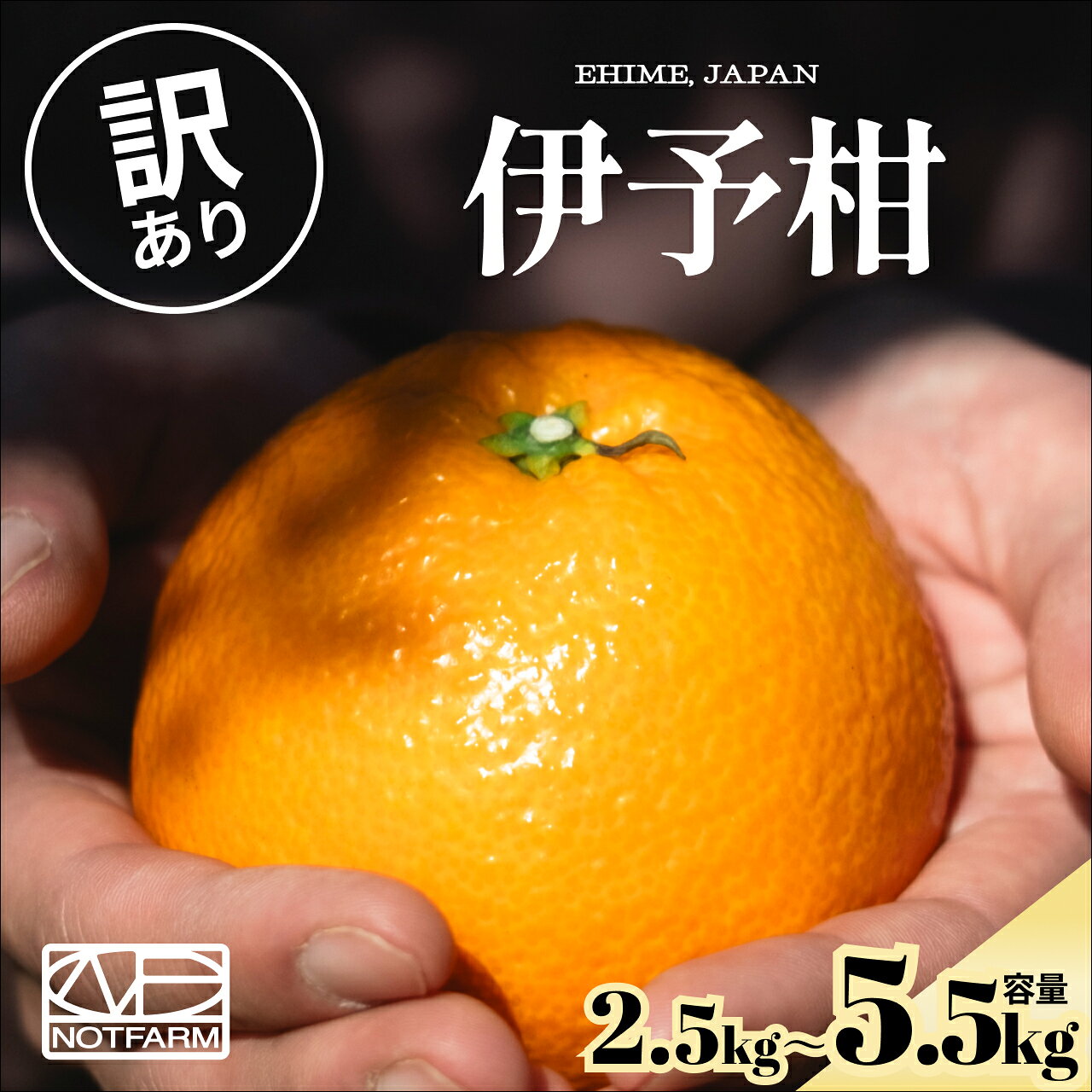 【ふるさと納税】＜伊予柑（訳あり）合計約2.5～5.5kg＞『2027年1月上旬～1月下旬迄に順次出荷予定』訳アリ わけあり いよかん イヨカン 濃厚 蜜柑 ミカン 果汁 果物 くだもの フルーツ 柑橘 あまい 甘い 季節 旬の果物 特産品 お取り寄せ NOT FARM 愛媛県 西予市 【常温】