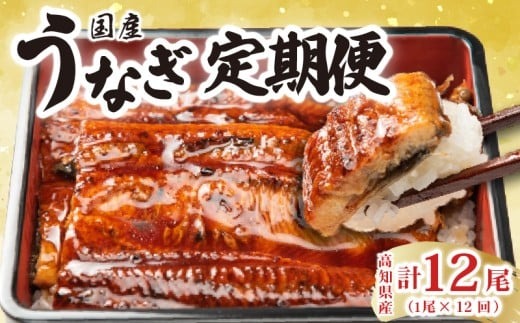 厳選!!高知県産うなぎの蒲焼き(1尾) 12回定期便 うなぎ 蒲焼 国産 高知 定期便 ギフト 贈答品 職人 手焼き ふっくら 柔らか 特製タレ 解凍 電子レンジ 簡単調理 お取り寄せ グルメ ふるさと納税 返礼品 1尾 約170～180g×12回 『とっと家』特製タレ 1個×12回 安芸市 高知県
