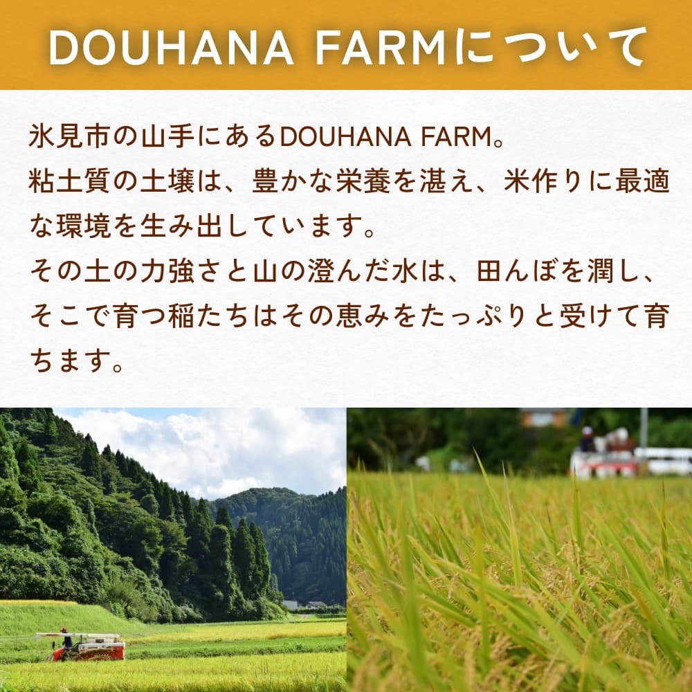 令和6年産 富山県氷見産 てんたかく白米 5kg 富山県 氷見市 米 てんたかく_イメージ3