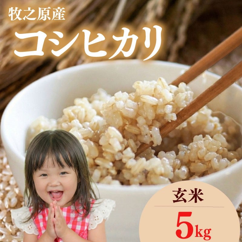 
            コシヒカリ 玄米 5kg こしひかり お米 米 人気 新米 令和7年度産 R7 2025年度 2025年産 ごはん ご飯 ゴハン おいしい 美味しい こめ コメ おこめ おすすめ オススメ おにぎり お弁当 食品 おむすび ギフト プレゼント 日常 家庭用 食卓 もちもち 甘い 国産 産地直送 産直 げんまい 食物繊維 あまい 食品 和食 日用品 家庭 牧之原産 タイラファーム 静岡県 牧之原市
          