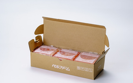 すいかジュース 100g×15P ジュース すいか