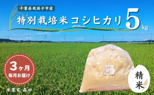 【毎月定期便3回】冷めても美味しい！ 特別栽培米 コシヒカリ 5kg×3回 計15kg（精米） 農家直送 千葉県産