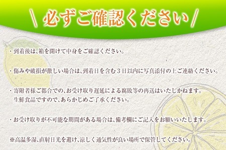 ≪数量限定≫黄金柑(おうごんかん)計3kg以上　フルーツ　果物　柑橘　みかん　国産 B227-23