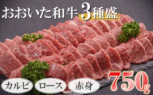 おおいた和牛 3種盛 カルビ ロース 赤身 合計750g （250g×3） | 豊後牛 焼肉 焼き肉 肉質 4等級以上 小分け お肉 肉 おにく にく 牛 牛肉 和牛 国産 九州産 大分県産 冷凍 大分県 中津市 送料無料
