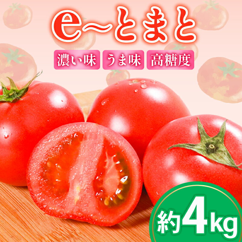 【ふるさと納税】 【先行予約】 トマト 約4kg 大玉 高糖度 eトマト フルーツトマト 健康 野菜 サラダ ダイエット スープ e~とまと フルーツ 果物 の甘さ 低農薬栽培 リコピン とまと トマトジュース 野菜 やさい 新鮮 産地直送 美容 美肌 濃厚 先行予約 大阪府 松原市