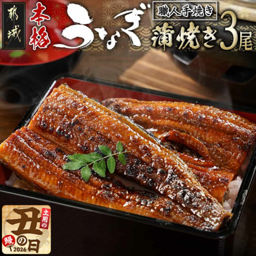 【丑の日】職人手焼きの本格うなぎ蒲焼き3尾≪7月20日～25日お届け≫_AC-33-003-3-UG