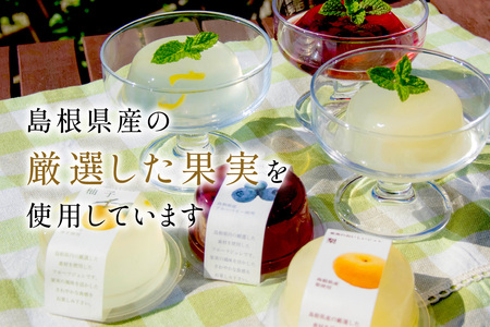 浜田地方産の果実4種をそれぞれに入れた厳選フルーツジュレ詰合せ【6月～10月のお届け】 ピオーネ 柚子 梨 ブルーベリースイーツ デザート フルーツ 果物 ジュレ フルーツジュレ 詰め合わせ セット 