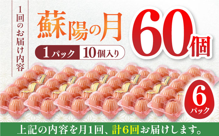 【全6回定期便】熊本県産 蘇陽の月 60個入り ( 10個入り × 6パック ) 山都町 たまご 卵【蘇陽農場】 [YBE023]