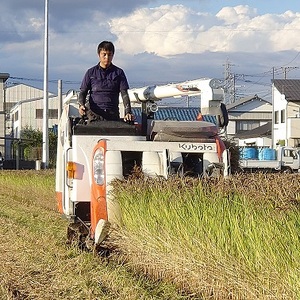 わたなべ農園のきぬむすめ　10kg
