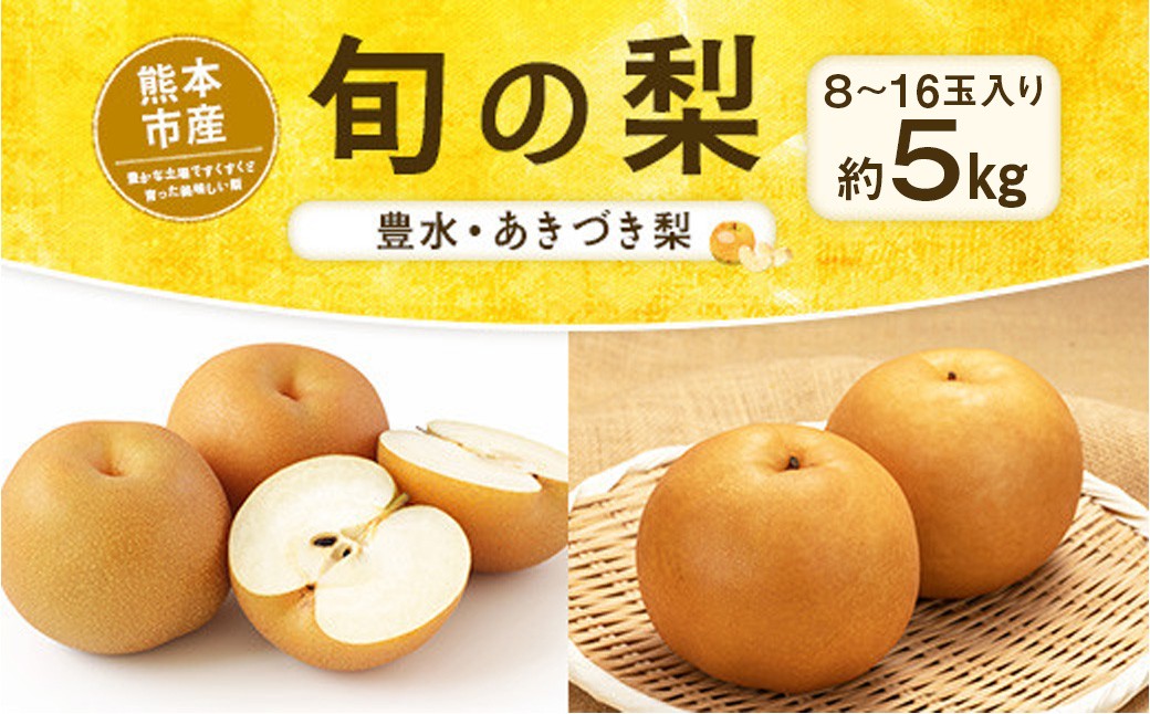 
                  旬の梨 （ 豊水 、 あきづき梨 ） 約5kg 8玉 ～ 16玉入り 梨 ナシ なし 果物 くだもの フルーツ 果実 果汁 果肉 季節限定 フルーツサラダ 贈り物 贈答品 国産 熊本県産 旬の果物 冷蔵 【 2026年8月下旬～10月上旬発送予定 】
                