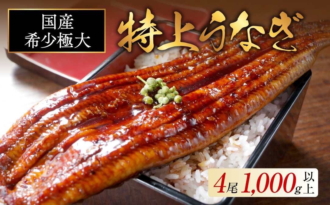 国産 希少 極大 特上うなぎ(250g×4尾)【OT000OE40】