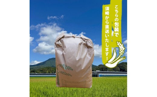 2025年 コシヒカリ 10Kg 産地直送 高知県産 白米 精米 こしひかり 米 常温 配送 ブランド米 国産 米 早場米 人気 天然 恵み 心 高知県 須崎市 SI003