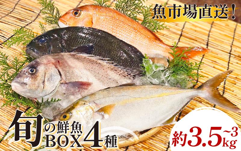 鮮魚ボックス 4種 鮮魚セット 鮮魚BOX 詰め合わせ 刺し身 刺身 フライ 天ぷら 塩焼き 煮付け 旬 鮮魚 お取り寄せ グルメ 食品 魚 魚貝 ギフト 贈物 贈り物 プレゼント おかず 送料無料 