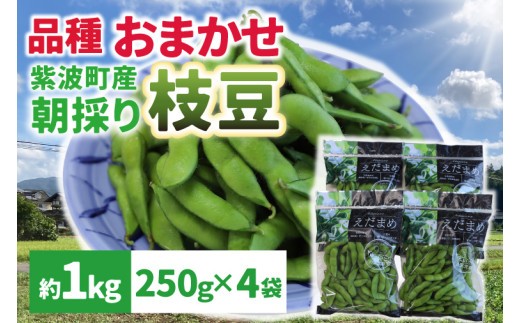 採れたて枝豆 1kg (250g×4袋) 2026年産 新鮮 産地直送 朝採り 朝採れ 野菜 えだまめ 小分け 250g 4袋 1kg 岩手県 紫波町 (DI008)