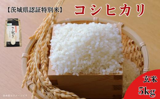 《 令和7年産 》【茨城県認証特別米】農薬減 コシヒカリ 玄米 5kg ／ こしひかり 米 こめ コメ お米 おこめ ごはん ご飯 新米 令和7年 安心 安全 茨城県 利根町
