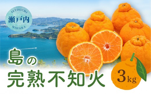 【先行受付】瀬戸内 島の不知火 約3kg 白鷺農園《2027年2月下旬～4月上旬頃出荷》 デコポン と同品種  旬 柑橘 フルーツ 果物 しらぬい デコポン 贈答 不知火 164001