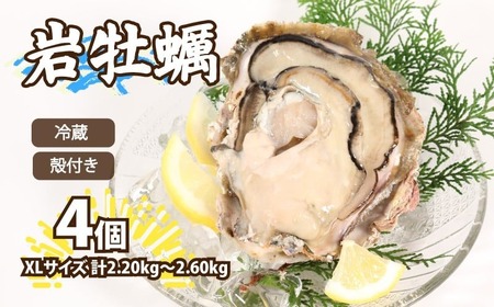 殻付き 岩牡蠣 4個 加熱用 | 牡蠣牡蠣牡蠣牡蠣牡蠣