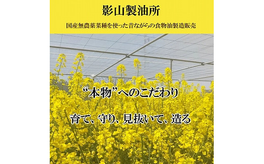 コンバインで刈り取り