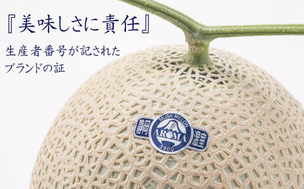 静岡県産高級 アローマメロン 山等級 1玉 約1.3kg以上 化粧箱入