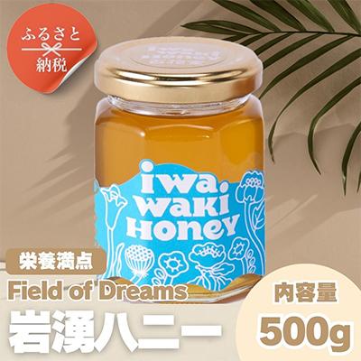 ふるさと納税 河内長野市 【2025年6月中旬以降順次発送です】岩湧ハニー(百花、純粋はちみつ)500g×1本