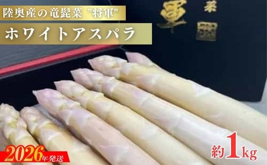 
            No.3251【春限定】特選 陸奥産の竜髭菜ホワイトアスパラ　約1kg【2026年発送 先行予約】
          