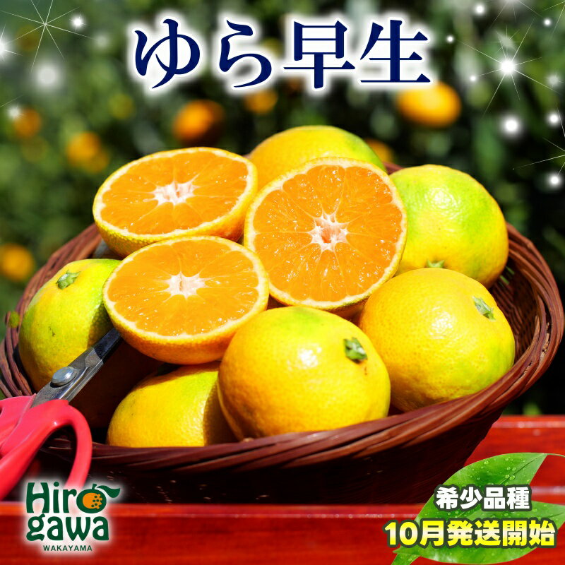 【ふるさと納税】 由良早生 みかん 家庭用 / ゆら早生 温州みかん 極早生 甘い 家庭用 和歌山 柑橘 5kg 10kg ※10月上旬～10月下旬順次発送 ※北海道・沖縄・離島への配送不可 //goku