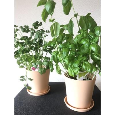 ふるさと納税 別海町 ミルキーパワープラント4個 |  | 02