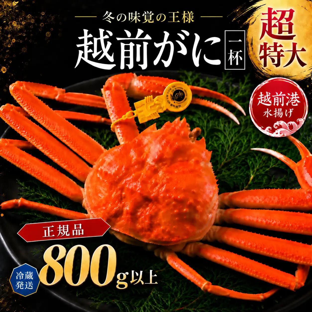 越前がに(オス)大サイズ　800g以上× 1杯 越前ガニ　冷蔵