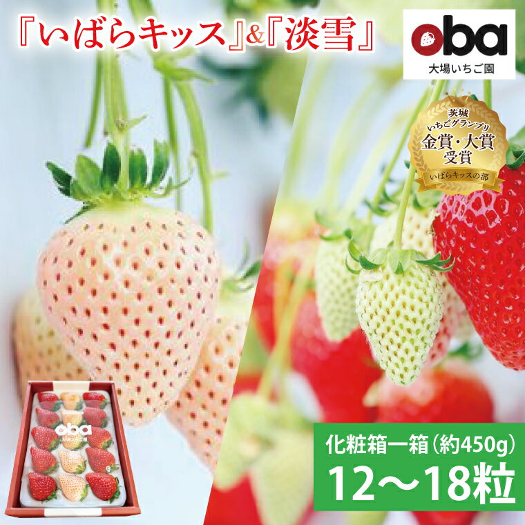 【ふるさと納税】【数量限定】茨城県オリジナル品種『いばらキッス』と希少なプレミアム白イチゴ『淡雪』紅白化粧箱一箱（12粒～18粒）【いちご 苺 フルーツ 果物 くだもの 水戸市 茨城県】（DO-2）