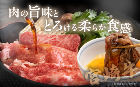 宮崎牛ローススライス(計800g) 肉 牛 牛肉 国産_T050-006