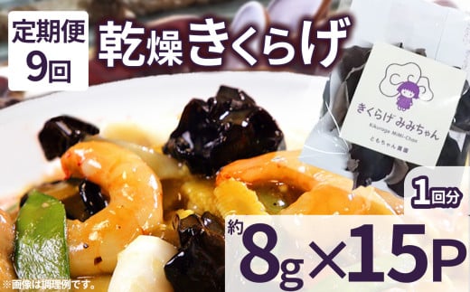 【定期便9回】乾燥きくらげ 8g×15P ともちゃん農園|定期便 乾燥きくらげ きくらげ 贈答用 乾燥 きくらげ 食物繊維 鉄分 カルシウム ビタミンD カリウム アミノ酸  高血圧予防 ふるさと 納税 栃木県 那珂川町 送料無料