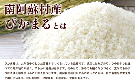 ぴかまる パックご飯 10個 パックごはん 米 パックライス 南阿蘇村産 一般社団法人南阿蘇村農業みらい公社《30日以内に出荷予定(土日祝を除く)》熊本県 南阿蘇村 送料無料 お米 米 ご飯 玄米 パ