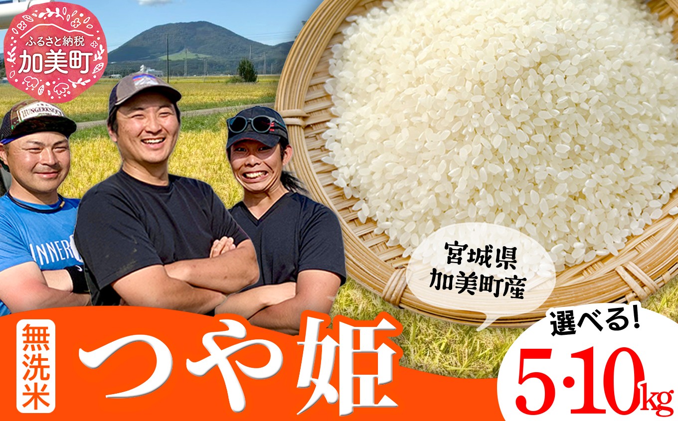 
                  つや姫 無洗米 【新米予約】 5kg / 10kg （2026年10月中旬～発送） 令和8年産 宮城県産 白米 精米 ご飯 ごはん コメ こめ お米 小分け 家庭用 つやひめ 結心ファーム [ 宮城県 加美町 ] 
                