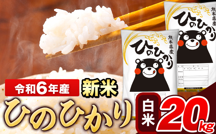 令和6年産 新米 ひのひかり 白米 20kg(5kg×4袋)《11月-12月より出荷予定》 熊本県産 米---ng_hn6_af11_24_36500_20kg_h---