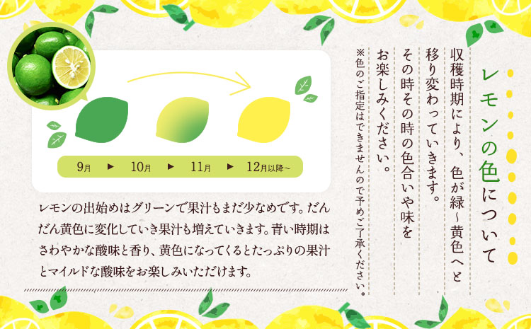 国産 マイヤーレモン 約3kg 15〜20玉【吉田レモニー】【2024年9月下旬〜2025年6月上旬発送】れもん 柑橘 かんきつ