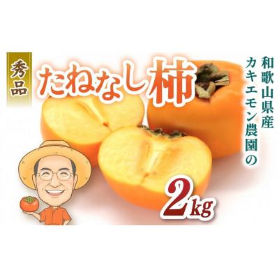 ふるさと納税 かつらぎ町 秀品 たねなし柿 約2kg カキエモン農園