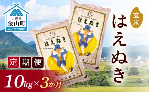 
                  令和7年産《定期便》金山産米 はえぬき【玄米】（5kg×2袋）×3ヶ月計30kg 定期便 3ヶ月 米 お米 ご飯 玄米 ブランド米 送料無料 東北 山形 金山町 F4B-0784
                